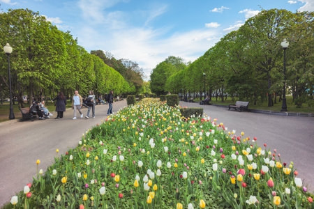Moscow, Russia - May, 04, 2024: Beautiful spring sunny day and tulips flower in Gorky municipal park, Moscow, Russia. Real city life, people walking in the park.のeditorial素材
