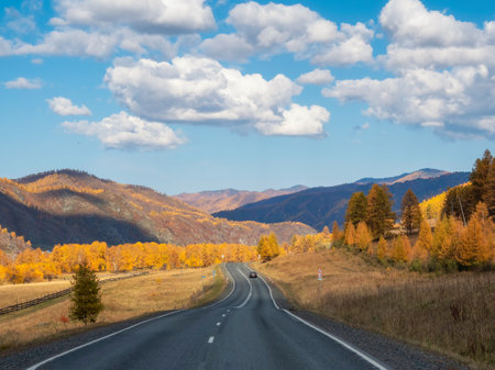 Beautiful autumn mountain road, car on the highway. Chuisky tract in the autumn. Beautiful winding asphalt road in the autumn mountains. Chuisky tract in autumn.の写真素材
