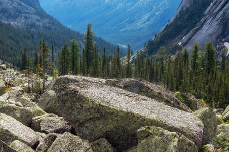 Rocky mountain forest valley in sunny summer day. A large granite boulder in the foreground.
