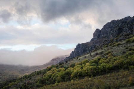 Rainy and foggy view at the mountain. Rain over the green forest mountains. Mountain hills. Rainy day.の写真素材