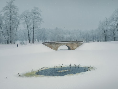 Winter day in the city park. Walk in the snowstorm. Stone Karpin Bridge in the park. Visit the Museum Reserve Gatchina Palace.の写真素材