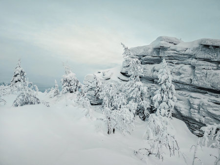 Beautiful winter landscape with snow-covered trees and rocks cliff. Deep snow powder. Perm region.の写真素材