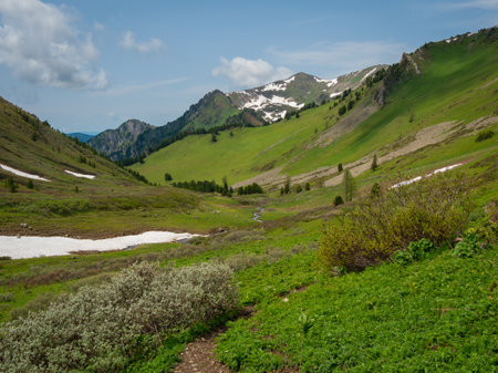 Foot path through the bushes into a picturesque summer mountain valley with streams.
