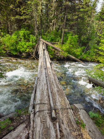 Vertical view of the dangerous wooden pedestrian bridge over a mountain river. Bridge of logs for crossing a fast mountain river.の写真素材
