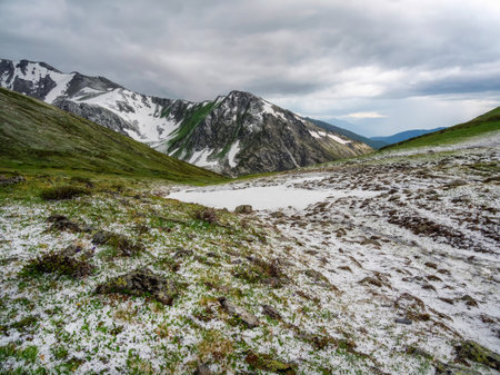 Amazing mountain scenery in changeable weather. Diagonal green mountain slope, the grass is sprinkled with fresh snow. Terektinsky ridge, Altai.の写真素材