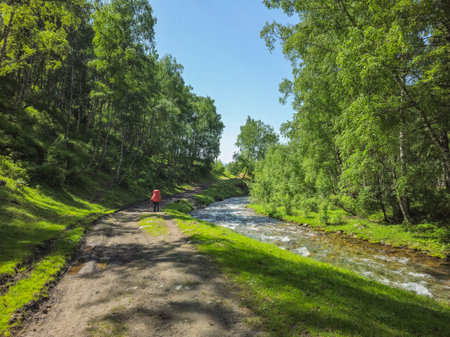 Trekking along a mountain river and a green forest. Man with big backpack going along trail in mountain slope. Lush green alpine floraの写真素材