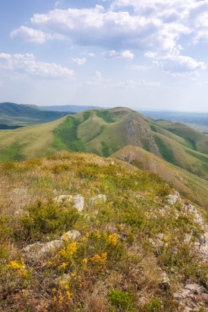 A vertical view of a mountainside with rocky terrain, with a scattering of stones amidst the green...