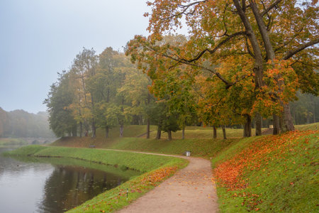 Beautiful foggy alley in autumn public park. Gatchina. Autumn foggy day in the park. Gold autumn. Trees and lake.の写真素材