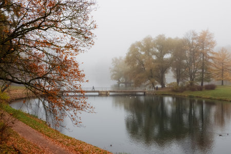 Foggy melancholic autumn city park. Bridge over a pond during a foggy morning. Gatchina, Palace Park, Russia.の写真素材