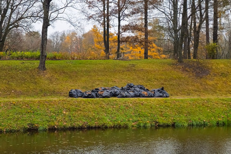 The fallen leaves are collected in bags. Bags with autumn leaves. Seasonal work on cleaning the park from fallen leaves.の写真素材