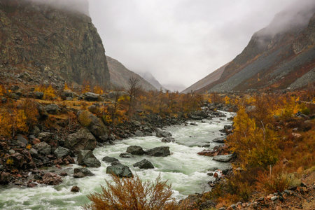 Photo of an autumn landscape with a river. A stormy mountain river flows down an autumn slope. Dramatic rainy weather with fogs and low clouds. Power majestic nature of the highlands.の写真素材