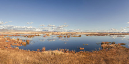 Photo view of a wide panorama of a clear day on a lake of a high-altitude autumn plateau. A swampy land area. Altai.の写真素材
