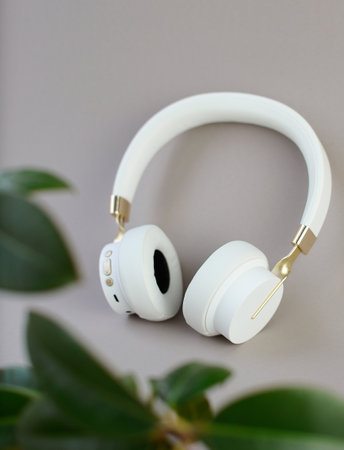 White headphones with green leaves on a gray background. Music concept.の写真素材