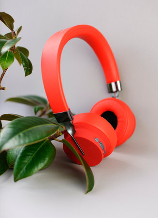 Red headphones with green plant on gray background. Concept of listening to music.の写真素材