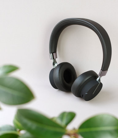 Black headphones on a white background with green leaves. Copy space.の写真素材
