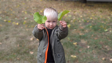 Portrait of a little boy with green leaves in his hands.の写真素材