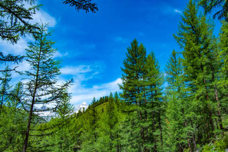 Siberian mountain taiga, mountains in the clouds, Altaiの写真素材