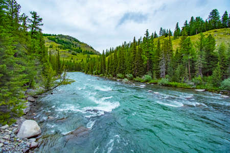 Altai mountains. River Argut. Beautiful highland landscape. Russia. Siberia