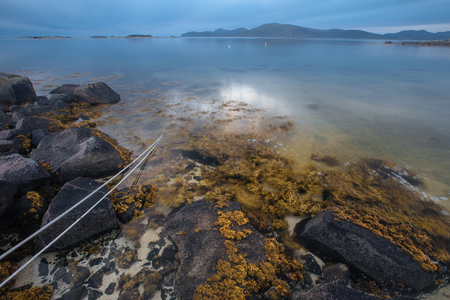 Seashore  with stones and  seaweed in low tide   in the north of Norway at summerの写真素材
