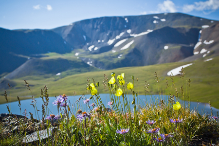 Beautifull valley with view to mountains and  clear lake in Altaj, Russia  at the summerの写真素材