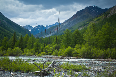 Beautifull  valley with view to snow mountains ,forest and river in Altaj, Russia  at the summerの写真素材