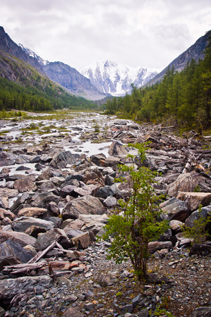 Beautifull  valley with view to mountains and river in Altaj, Russia  at the summerの写真素材