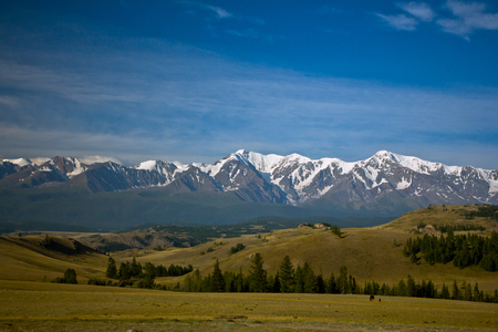Beautifull valley with view to steppe, forest and snow  mountains in Altaj, Russia  at the summerの写真素材