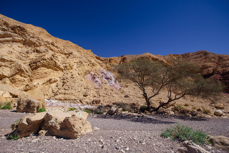 Misterious Red canyon  in the Israil and sun lights and stones in Israil near Eilat with sunlightsの写真素材