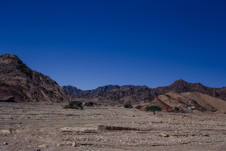 Way in the desert  in the Israil in sunny day with red mountains, green trees and blue sky near Eilatの写真素材