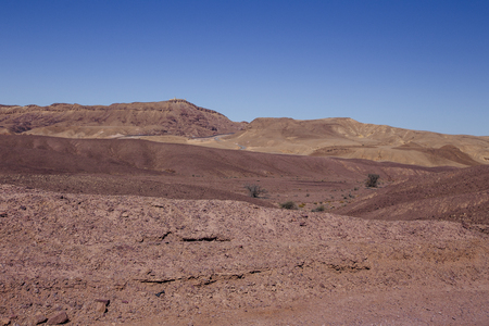 Way in the desert  in the Israil in sunny day with red mountains, green trees and blue sky near Eilatの写真素材