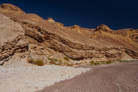 Way in the desert  in the Israil in sunny day with red mountains, green trees and blue sky near Eilatの写真素材