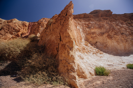 Way in the desert  in the Israil in sunny day with red mountains, green trees and blue sky near Eilatの写真素材