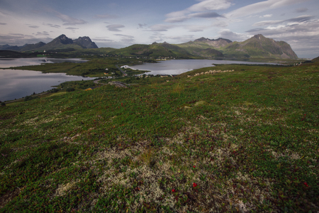 View from hill with green grass on the field  to the lake and mountains in the Norway at summer at daylightの写真素材