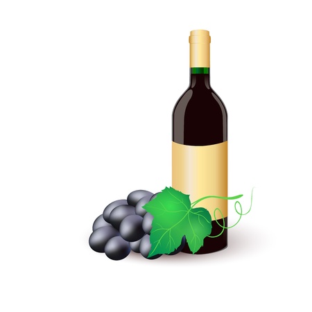 Wine bottle with black grapes. Vector illustrationのイラスト素材