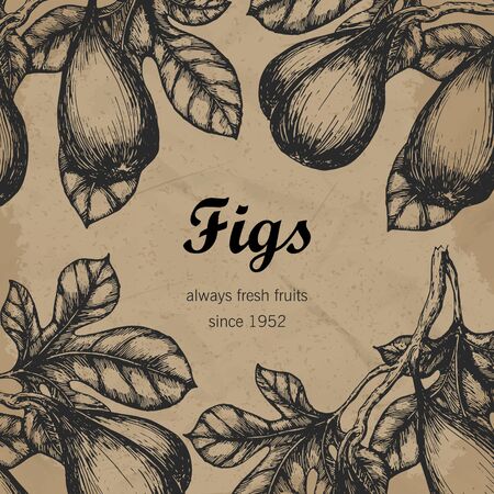 template with hand drawn figs illustrationのイラスト素材