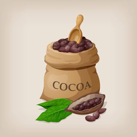 Cocoa beans in a bag. Vector illustrationのイラスト素材