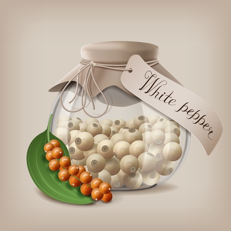 White Peppercorns in a glass jar with a branch of fruit pepper. Vector illustration EPS10のイラスト素材