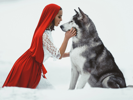 Girl in costume Little Red Riding Hood with dog malamute like a wolf.  She keeps dog's muzzle. On white background.の写真素材