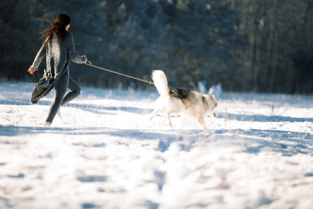 Girl with dog Malamute on walk in winter forest. She runs with dog.の写真素材