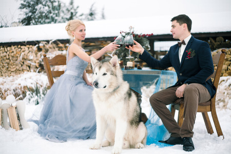 Bride and groom in winter with dog malamute sitting at table  and clink glasses with wine. On the table is bouquet.の写真素材