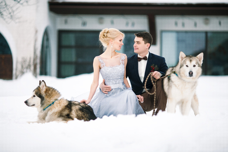 Bride and groom in winter with two dogs malamute sitting in snow. Groom hugging bride and they tenderly look against each other.の写真素材