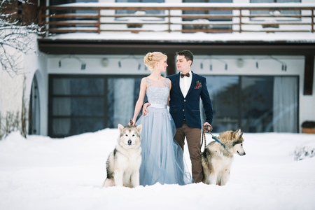 Bride and groom in winter with two dogs malamute on snow and home background.の写真素材