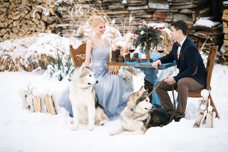 Bride and groom in winter with two dogs malamute sitting at table. On the table are wine goblets, candles and bouquet.の写真素材