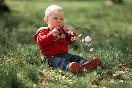 Baby is sitting on grass and gnawing flowering branch of apricot tree. He holds twig in his hands and bites it.の写真素材