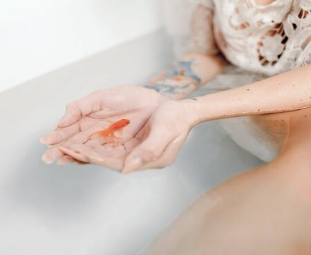 Woman's hands in white bathtub with transparent water hold goldfish in her palms. Closeup.の写真素材