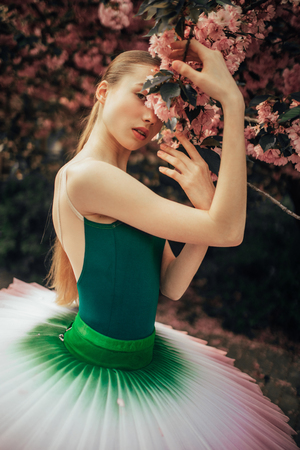 Ballerina standing in a beautiful tutu next to flowering branch of sakura tree in the park. Closeup.の写真素材