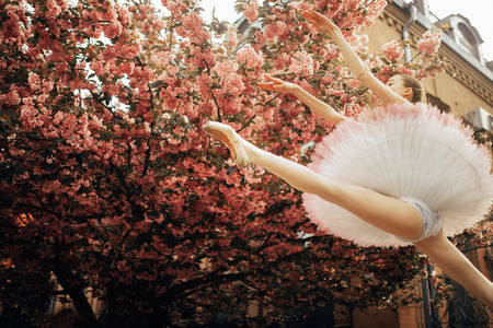 Ballerina jumping in twine pose dressed in a beautiful tutu against the background of flowering sakura trees in the park. Bottom view.の写真素材