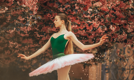 Ballerina dancing in a beautiful tutu against the background of flowering sakura trees and falling petals in the park. Closeup.の写真素材