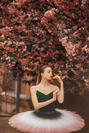 Ballerina dancing in a beautiful tutu against the background of flowering sakura trees in the park. Closeup.の写真素材