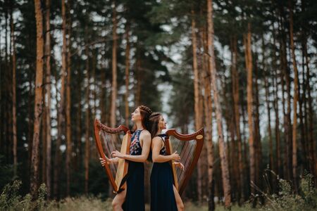 Two women harpists stand at forest and play harps in beautiful dresses against a background of pines.の写真素材